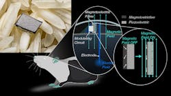 Schwebeer Prom Onew 5f7b747f80a10 Schwebeer Prom Onew 5f7b747f80a10