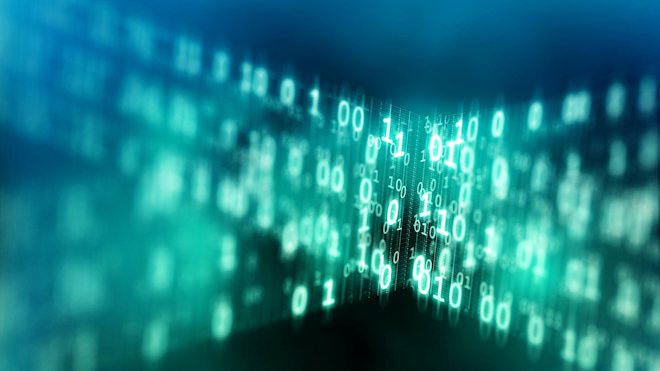 Binary Code Web