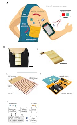 Ed Tribo Harvest & Sweat Interest Fig1 Ed Tribo Harvest & Sweat Interest Fig1