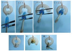 Ed Interest Robotic Actuator Fig4 Ed Interest Robotic Actuator Fig4