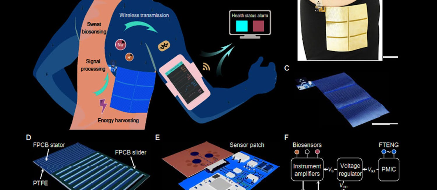 Promo Ed Tribo Harvest & Sweat Interest Fig11 Promo Ed Tribo Harvest & Sweat Interest Fig11