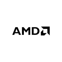 Amd标志最后