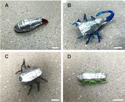 3. Structural biomorphic batteries were integrated into &lsquo;battery-less&rdquo; miniaturized biomorphic robots (minibots): caterpillar (A), scorpion (B), spider (C), and ant (D). (Scale bar, 2.0 cm)