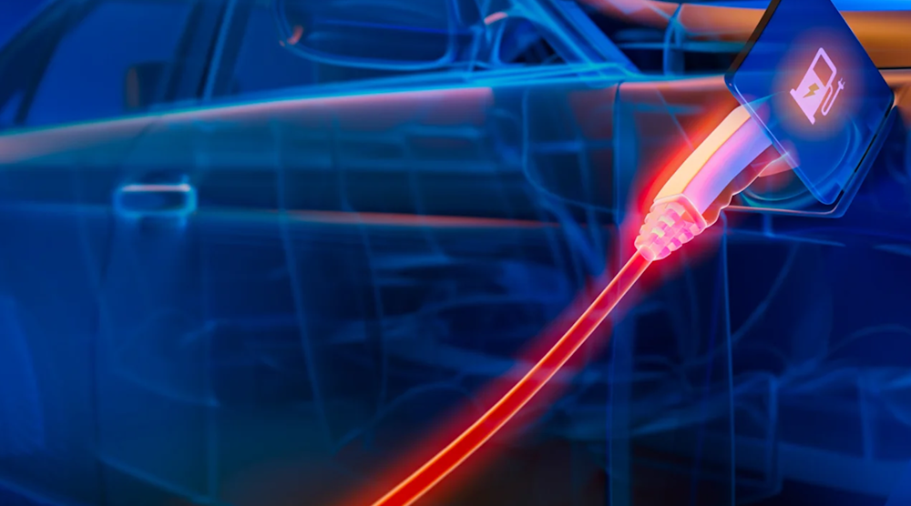 Maxim Bms Promo 马克西姆Bms促销