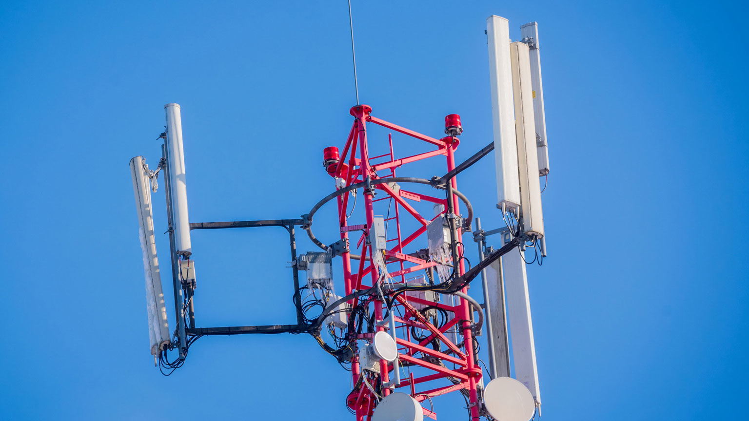 Antenna 5 G Gints Ivuskans 127342617 604fae91f0895