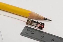 2. The tiny size of the completed assembly is a critical factor in its intended application in the gastrointestinal tract. (Source: Wyss Institute/Harvard University) 2. The tiny size of the completed assembly is a critical factor in its intended application in the gastrointestinal tract. (Source: Wyss Institute/Harvard University)