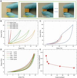 4. Mechanical properties of balsa wood before and after fungal treatment: (A) photographs of the decayed wood showing its higher and reversible compressibility compared to native wood; (B) stress-strain curves of the decayed wood with different weight losses; (C) stress-strain curves of the decayed wood (45% weight loss) under compression with different maximum stresses of 20, 45, and 100 kPa, respectively; (D) stress-strain curves of the decayed wood (45% weight loss) under cyclic compression at a constant stress of 45 kPa; (E) energy loss coefficient of the decayed wood during different cycles derived from the stress-strain curves in (D). (Image source: ETH Zürich) 4. Mechanical properties of balsa wood before and after fungal treatment: (A) photographs of the decayed wood showing its higher and reversible compressibility compared to native wood; (B) stress-strain curves of the decayed wood with different weight losses; (C) stress-strain curves of the decayed wood (45% weight loss) under compression with different maximum stresses of 20, 45, and 100 kPa, respectively; (D) stress-strain curves of the decayed wood (45% weight loss) under cyclic compression at a constant stress of 45 kPa; (E) energy loss coefficient of the decayed wood during different cycles derived from the stress-strain curves in (D). (Image source: ETH Zürich)