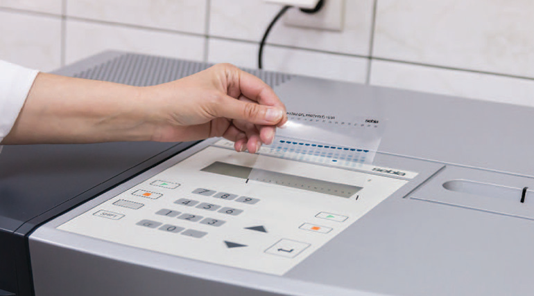 automation testing industry