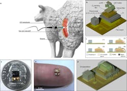 Ed Interest O2 Sensor Fig2 Ed Interest O2 Sensor Fig2