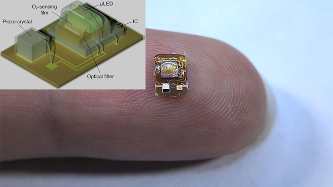 Ed Interest O2 Sensor Eye Candy