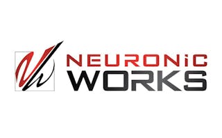 Neuronicworks Logo Web