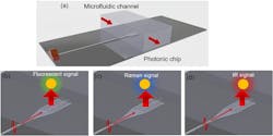 1. Optofluidic lab on the chip sensing system. (a) Photonic waveguide technology integrated with a microfluidic chip to perform high-throughput detection and sensing. (b) Planar photonic-waveguide-based light excitation and detection for fluorescence spectroscopy. The excitation of the sample (shown in red) generates a fluorescent signal (shown in green) detected by adjoining detectors. (c) Planar waveguide-based light excitation for on-chip Raman spectroscopy. The Raman signals are represented in blue. (d) Planar waveguide-based light excitation for on-chip IR spectroscopy where excitation and detection signals are shown in red.