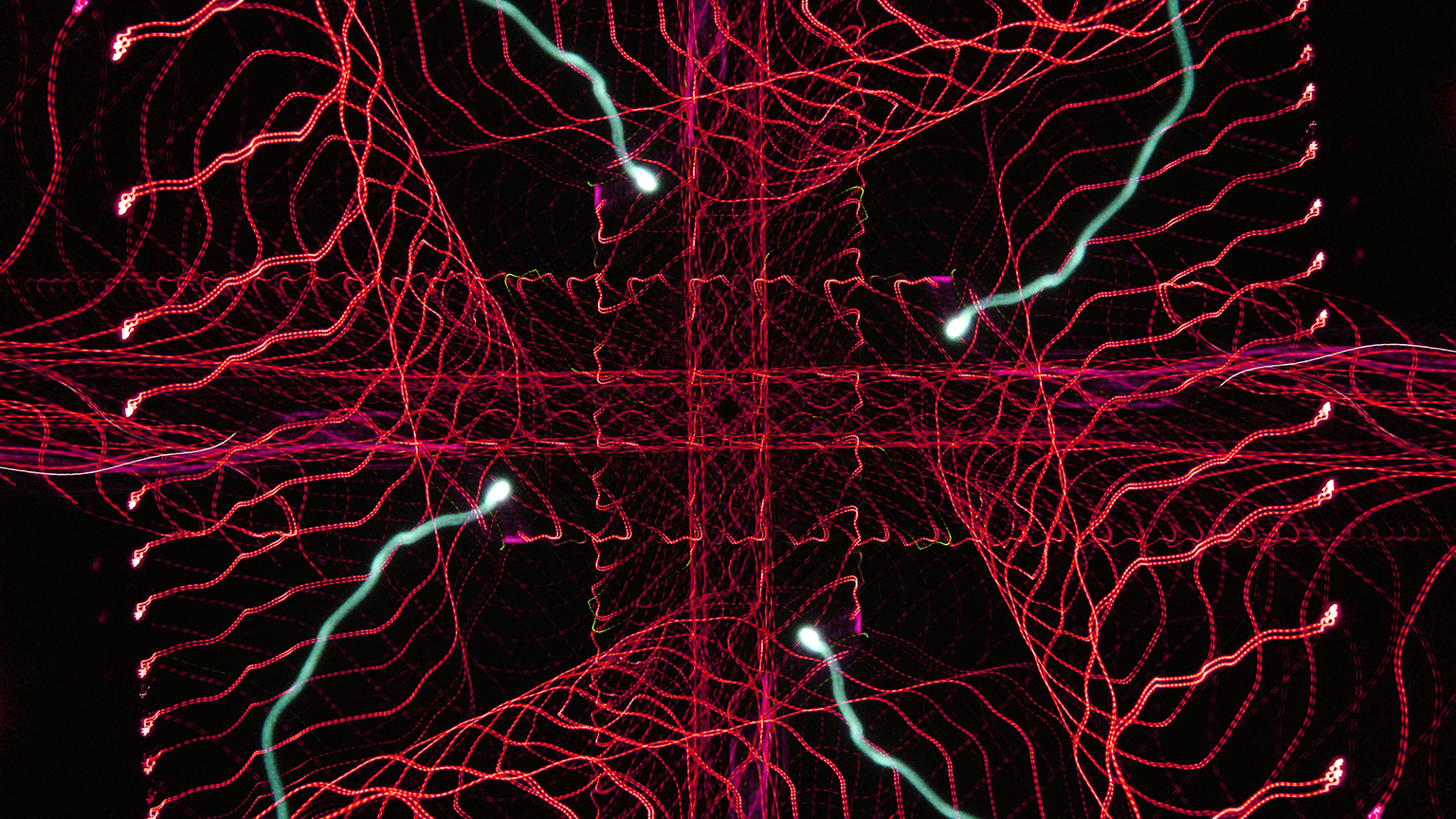 Radio Waves Promo 60d3887599fd7