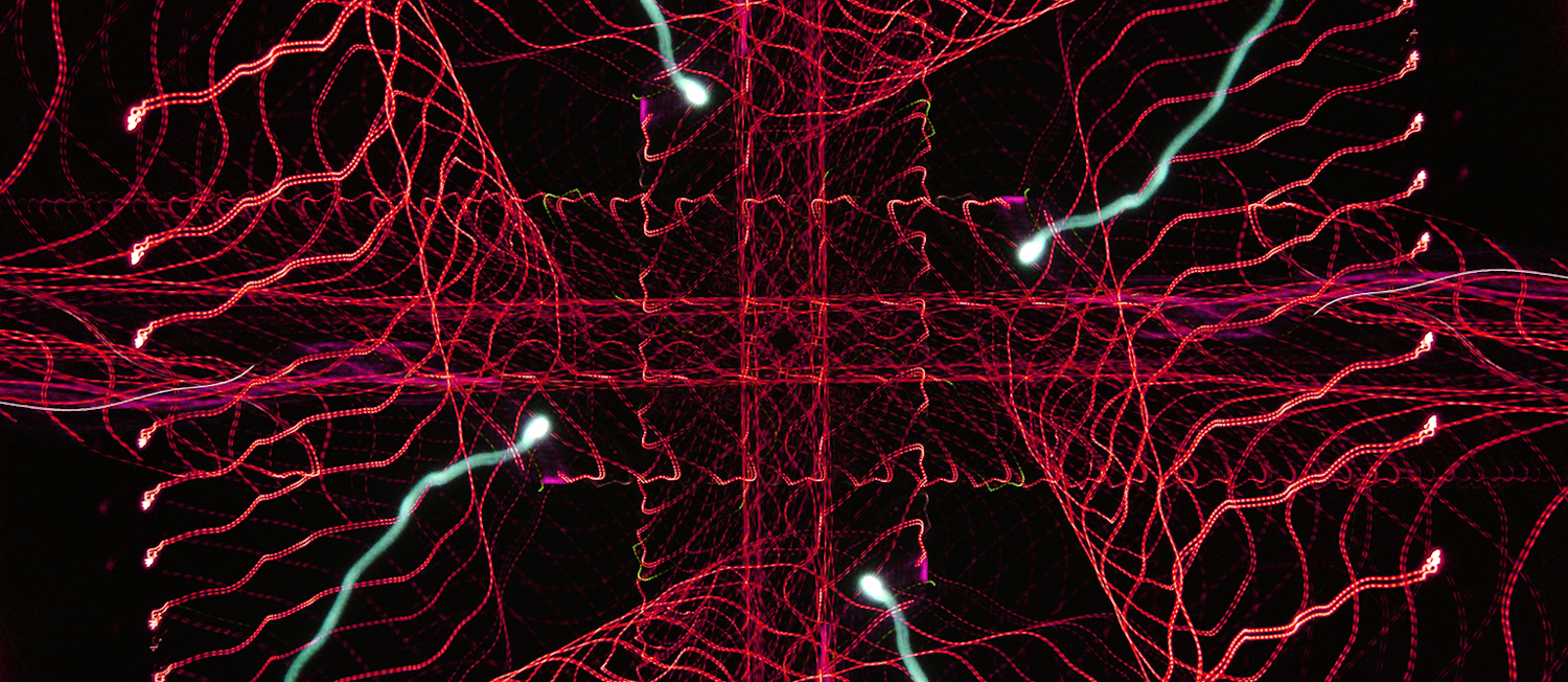 Radio Waves Promo 无线电波促销