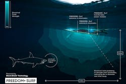 4. Sharks, like the great white, are very sensitive to electrical fields, which can be used to deter attacks. 4. Sharks, like the great white, are very sensitive to electrical fields, which can be used to deter attacks.