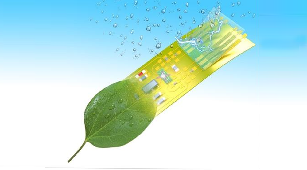 Ed Interest Green Nanowires Eye Candy 绿色纳米线,漂亮的糖果