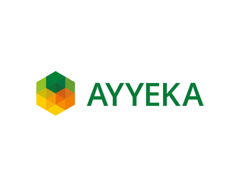 Ayyeka Technologies Electronic Design