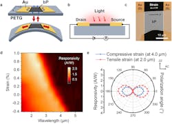 Ed Black Phosphorus Interest Fig5 Ed Black Phosphorus Interest Fig5