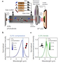 Ed Black Phosphorus Interest Fig6 Ed Black Phosphorus Interest Fig6