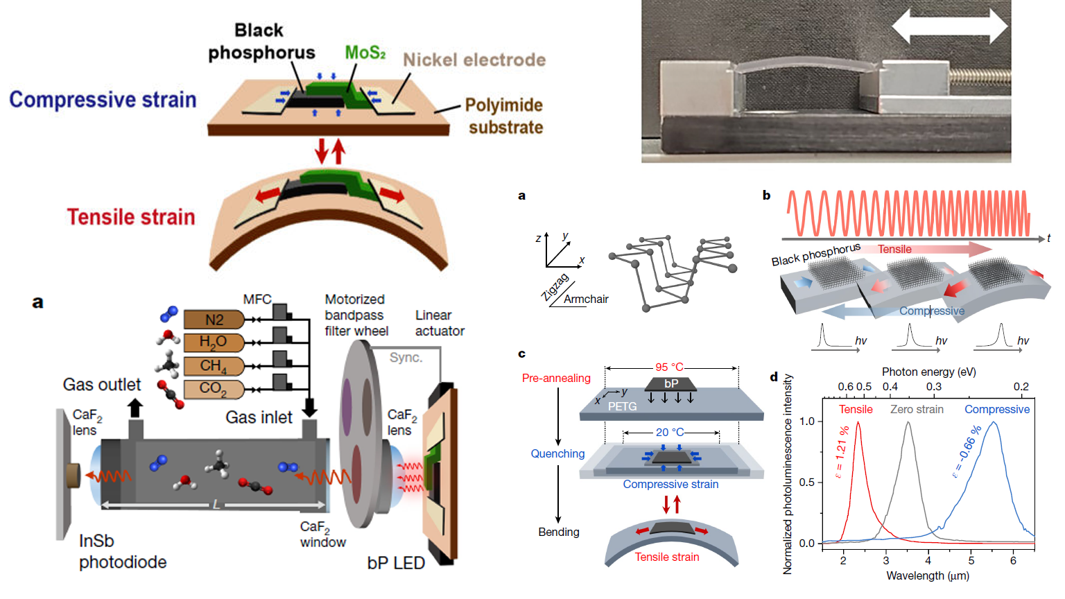 眼睛Candybase促销