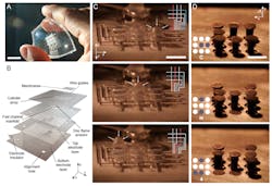 2. Design for individually addressable, high-density arrays of soft actuators. (A) Arrayed actuator design is compliant and biocompatible. (Scale bar: 15 mm) (B) An exploded view visualizes the layer-by-layer device architecture. (C) High-speed images show individual operation of different actuators (Movie S5). Two-dimensional diagram of high-voltage (HV) demultiplexing traces given in righthand corners. (Scale bar: 5 mm) (D) A tactile display application was demonstrated with an elementary magnetic latching pin array placed directly above membranes; the pins rest in a steel machined plate. 2. Design for individually addressable, high-density arrays of soft actuators. (A) Arrayed actuator design is compliant and biocompatible. (Scale bar: 15 mm) (B) An exploded view visualizes the layer-by-layer device architecture. (C) High-speed images show individual operation of different actuators (Movie S5). Two-dimensional diagram of high-voltage (HV) demultiplexing traces given in righthand corners. (Scale bar: 5 mm) (D) A tactile display application was demonstrated with an elementary magnetic latching pin array placed directly above membranes; the pins rest in a steel machined plate.