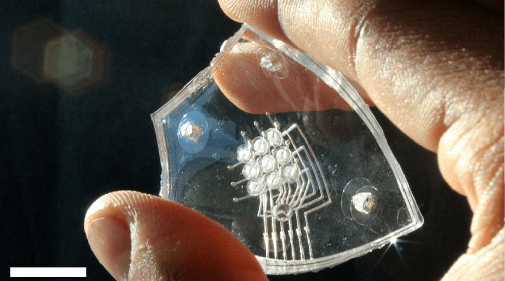 Ed Interest Tactile Keyboard Eye Candy Ed兴趣触觉键盘眼睛糖果