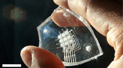 Ed Interest Tactile Keyboard Eye Candy 619cfe2cc61bf Ed Interest Tactile Keyboard Eye Candy 619cfe2cc61bf