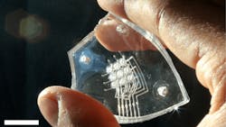 Ed Interest Tactile Keyboard Eye Candy 619cfe2cc61bf Ed Interest Tactile Keyboard Eye Candy 619cfe2cc61bf