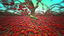 Wt D Ray Tracing 6182da0bdb209 Wt D Ray Tracing 6182da0bdb209