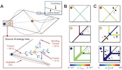 Ed Interest Spiderweb Sensor Fig3 Ed Interest Spiderweb Sensor Fig3