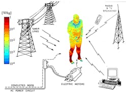 This figure shows EMI interferences that affect the human nervous system. (Image from Reference 2) This figure shows EMI interferences that affect the human nervous system. (Image from Reference 2)