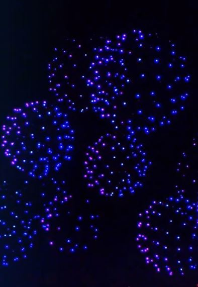 Top Stories of the Week - Nov. 22, 2021 cover image