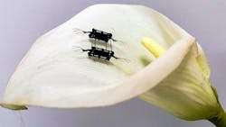 Ed Interest Aerial Micromotor Eye Candy 61d46614cd36a Ed Interest Aerial Micromotor Eye Candy 61d46614cd36a