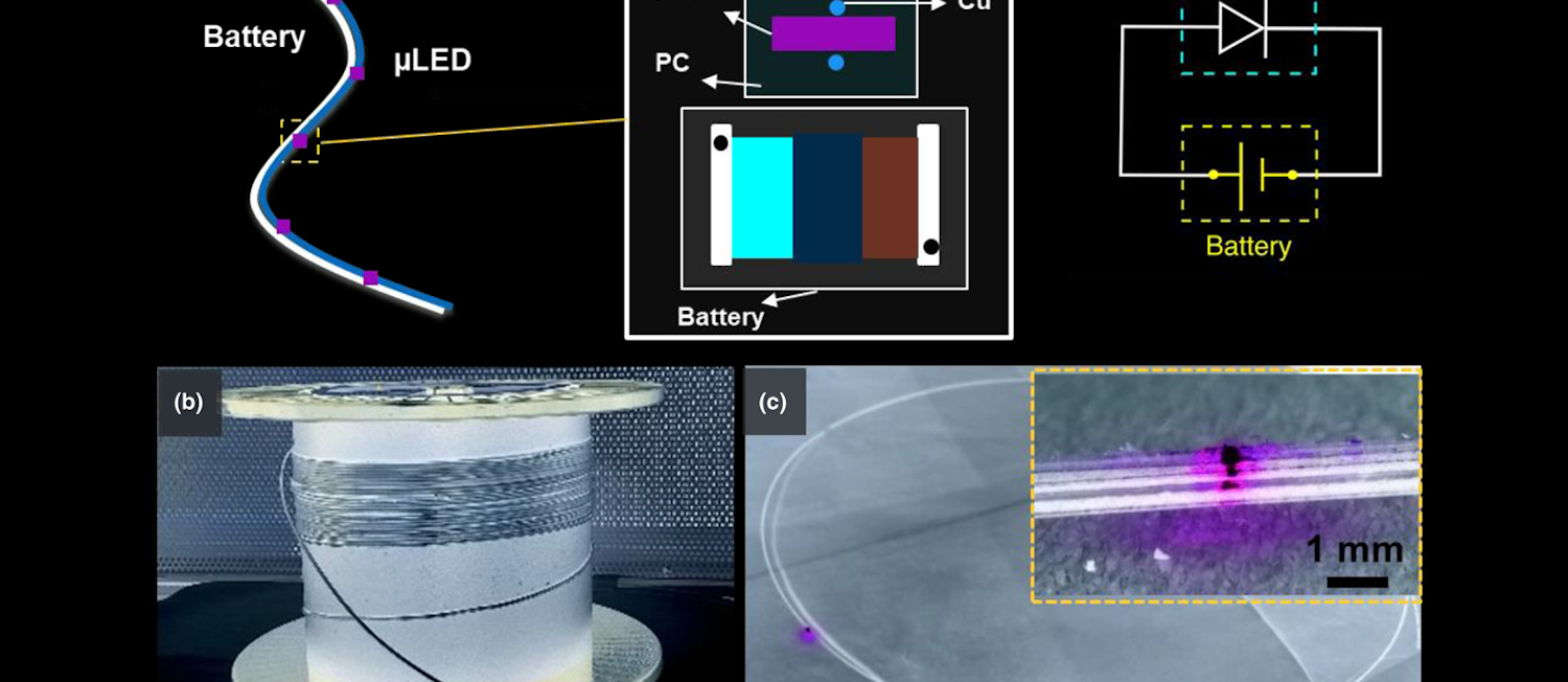 Promo Ed Interest Filament Battery Fig2 灯丝电池图2