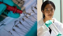 Fabric Promo 1 61fbfb40ce238 Fabric Promo 1 61fbfb40ce238