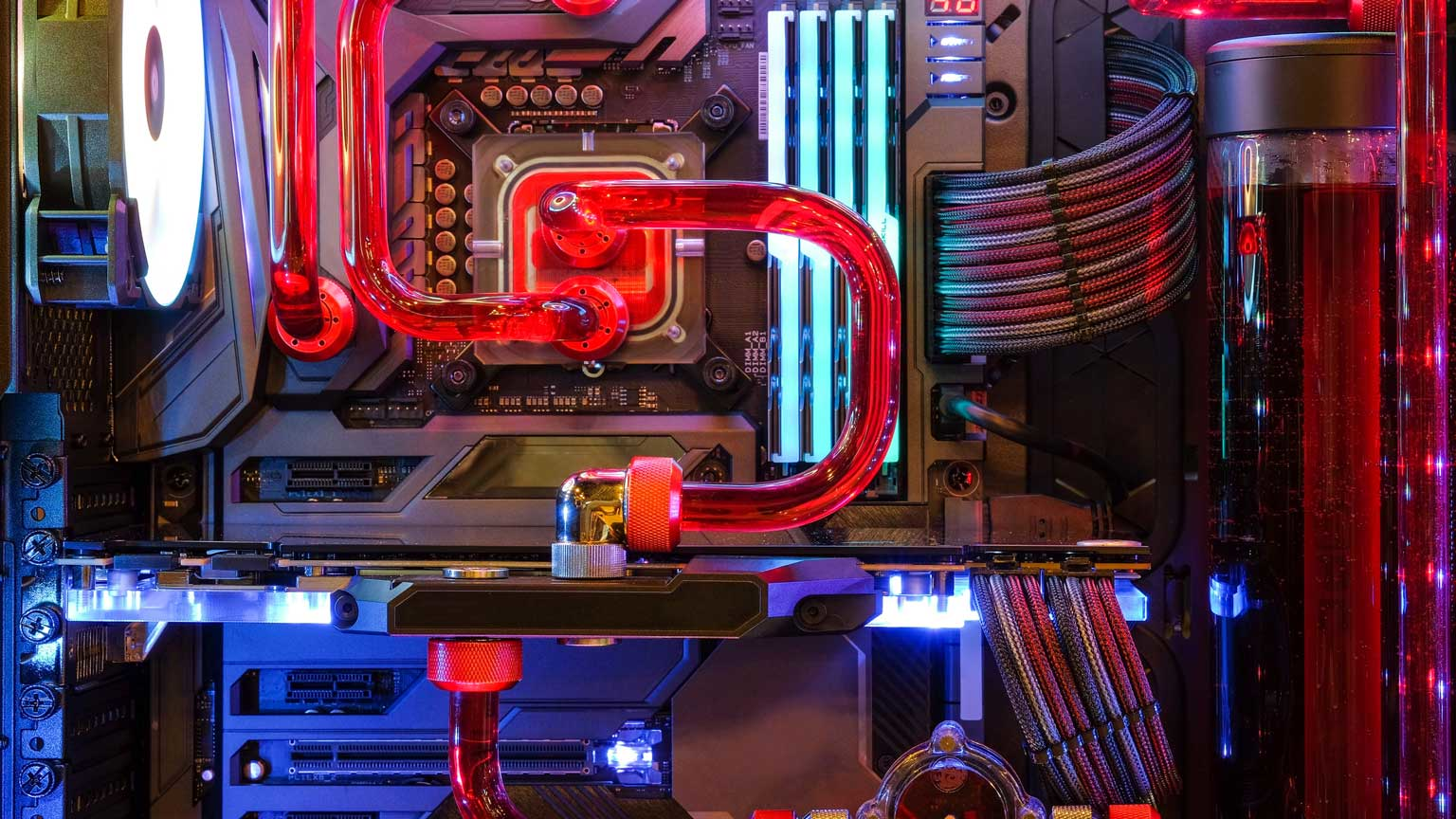 Chiradech Chotchuang Dreamstime L 151731753 6263115ea2350