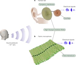 Ed Acoustic Fiber Interest Fig1 Ed Acoustic Fiber Interest Fig1