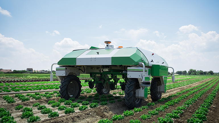 2. Na&iuml;o Technologies&rsquo; Dino is being used on large-scale vegetable farms in Europe and the U.S. (Courtesy of Na&iuml;o Technologies)