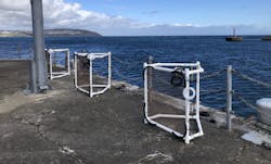 CCell's first cold-water reef will be grown in the rugged waters off the Isle of Man. CCell's first cold-water reef will be grown in the rugged waters off the Isle of Man.