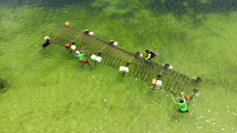 This is one of the first segments of the Yucatan Project being deployed.