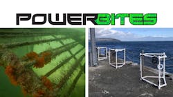 Powe Rb Ite Snew 6298be7e5f1e8 Powe Rb Ite Snew 6298be7e5f1e8