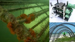 Reef Promo 1 62a1f30416a1c Reef Promo 1 62a1f30416a1c