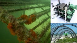 Reef Promo 1 62a1f30416a1c Reef Promo 1 62a1f30416a1c