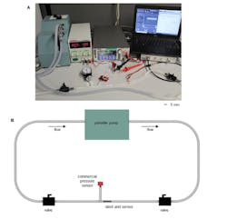 2. Experimental setup of artery model for pressure and flow monitoring: (A) Photo of testing setup with pulsatile pump. (B) Illustration of artery model for testing with pulsatile flow. 2. Experimental setup of artery model for pressure and flow monitoring: (A) Photo of testing setup with pulsatile pump. (B) Illustration of artery model for testing with pulsatile flow.