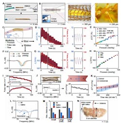 5. Demonstration of wireless sensing of pressure, pulse, and flow: (A) Photo of wireless sensing system advancing through a guide catheter. (B) Expanded stent and sensor in artery model. Inset shows a cross-section of the low-profile electronics. Enlarged views show the expanded stent structure and PI connectors. (C) Schematic of wired and wireless sensing methods in artery model. (D) Sensor capacitance during pulsatile flow in artery model with an enlarged view of pressure waveform. (E) Summary of wired sensor response during various flow-rate levels. Capacitance increases linearly with pressure, indicating that flow has a minimal effect. (F) Wireless resonant frequency sweeps at different pressures. The resonant frequency decreases with increasing pressure. (G) Wireless pressure sensing in artery model with an enlarged view of the pulsatile wave. (H) Summary of wireless pressure sensing of average, maximum, and minimum pressures during pulsatile flow. (I) Pulse-rate detection during two flow conditions. The wireless sensor detects a similar pulse rate to a commercial pressure sensor. (J) Wireless stent integrated with dual pressure sensor for monitoring of flow. The two sensors provide monitoring of two resonant frequencies, enabling real-time pressure-gradient (ΔP) monitoring. (K) Summary of wireless flow monitoring comparing the pressure gradients monitored by the wireless sensor and commercial sensors. (L) Wireless signal from the device when operated in air and saline. The conductive surrounding lowers the wireless signal quality. (M) Wireless readout distances in air, saline, and saline plus tissue. (N) Photo of external antenna and artery model embedded in meat at maximum readout distance. 5. Demonstration of wireless sensing of pressure, pulse, and flow: (A) Photo of wireless sensing system advancing through a guide catheter. (B) Expanded stent and sensor in artery model. Inset shows a cross-section of the low-profile electronics. Enlarged views show the expanded stent structure and PI connectors. (C) Schematic of wired and wireless sensing methods in artery model. (D) Sensor capacitance during pulsatile flow in artery model with an enlarged view of pressure waveform. (E) Summary of wired sensor response during various flow-rate levels. Capacitance increases linearly with pressure, indicating that flow has a minimal effect. (F) Wireless resonant frequency sweeps at different pressures. The resonant frequency decreases with increasing pressure. (G) Wireless pressure sensing in artery model with an enlarged view of the pulsatile wave. (H) Summary of wireless pressure sensing of average, maximum, and minimum pressures during pulsatile flow. (I) Pulse-rate detection during two flow conditions. The wireless sensor detects a similar pulse rate to a commercial pressure sensor. (J) Wireless stent integrated with dual pressure sensor for monitoring of flow. The two sensors provide monitoring of two resonant frequencies, enabling real-time pressure-gradient (ΔP) monitoring. (K) Summary of wireless flow monitoring comparing the pressure gradients monitored by the wireless sensor and commercial sensors. (L) Wireless signal from the device when operated in air and saline. The conductive surrounding lowers the wireless signal quality. (M) Wireless readout distances in air, saline, and saline plus tissue. (N) Photo of external antenna and artery model embedded in meat at maximum readout distance.