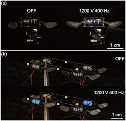 1. A sub-gram aerial robot powered by electroluminescent dielectric elastomer actuators (ELDEAs): (a) One ELDEA is patterned with three letters “MIT,” and each letter emits a different color when the ELDEA is driven at 1200 V and 400 Hz. (b) Four different colored or patterned ELDEAs are installed in a 650-mg flapping-wing robot. The robot emits light when it operates at hovering flight conditions. 1. A sub-gram aerial robot powered by electroluminescent dielectric elastomer actuators (ELDEAs): (a) One ELDEA is patterned with three letters “MIT,” and each letter emits a different color when the ELDEA is driven at 1200 V and 400 Hz. (b) Four different colored or patterned ELDEAs are installed in a 650-mg flapping-wing robot. The robot emits light when it operates at hovering flight conditions.