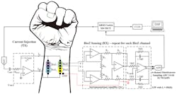 Ed Blood Pressure Tattoo Interest Fig3 Ed Blood Pressure Tattoo Interest Fig3