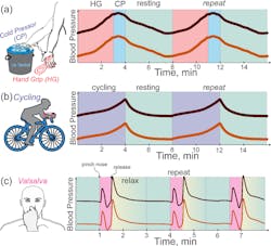 Ed Blood Pressure Tattoo Interest Fig5 Ed Blood Pressure Tattoo Interest Fig5