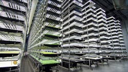 Vertical farming involves stacks of trays with plants under an array of lights.