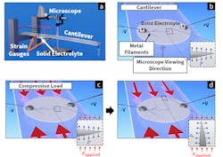 Ed Interest Dendrites Fig1 Ed Interest Dendrites Fig1